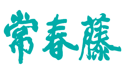 常春藤
